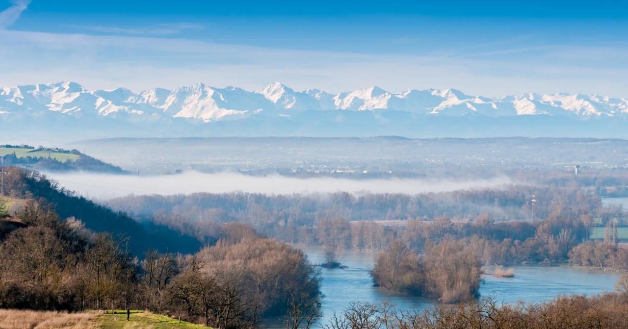 Le Lamartine - T3 Dans Un Parc Frouzins Extérieur photo